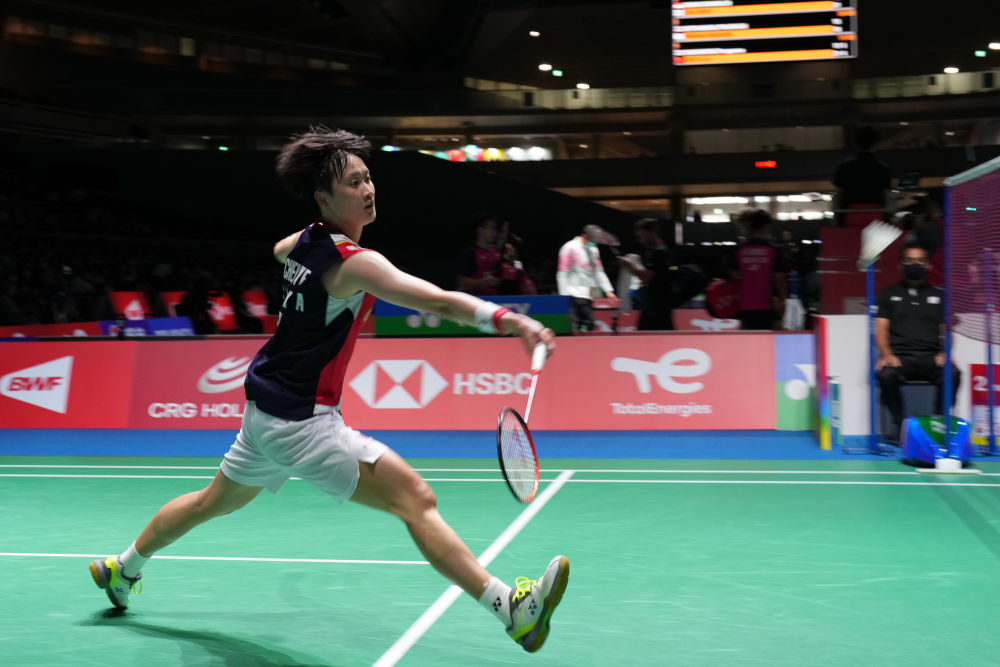 供了清晰的 供了清晰的