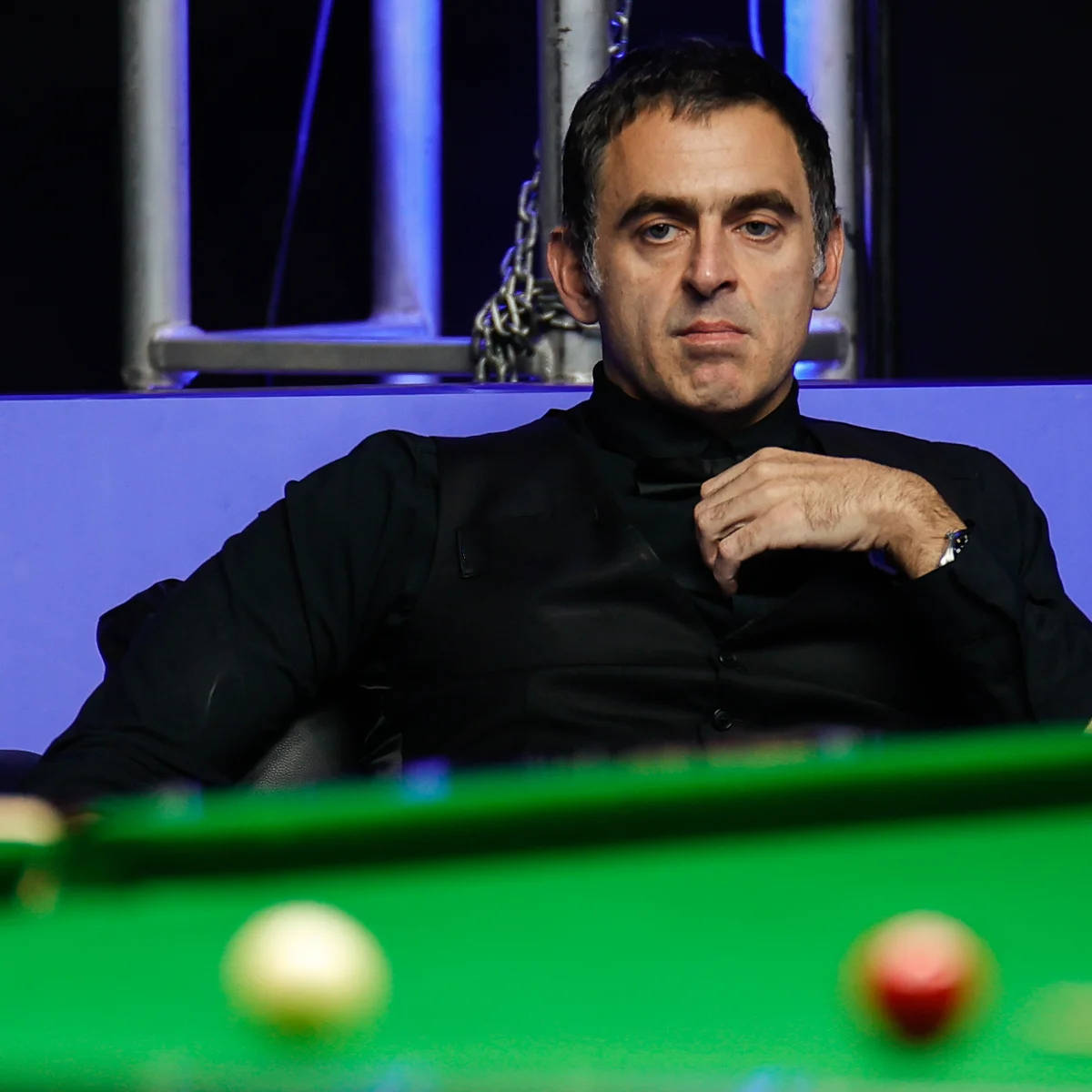 丝数量也持 丝数量也持