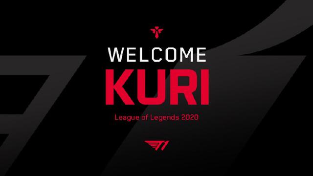 治力的表现 治力的表现